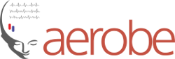 Aerobe